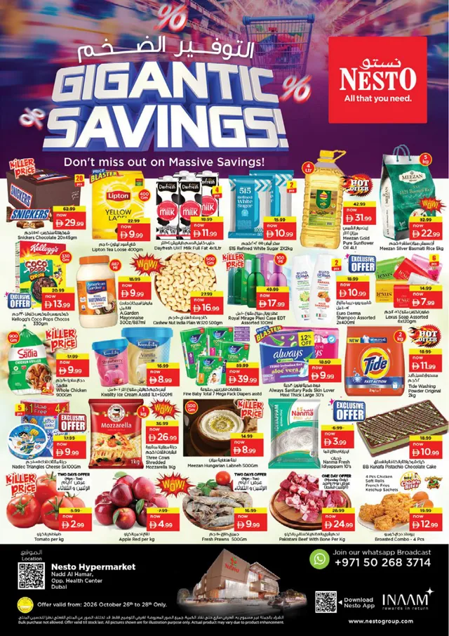 Nesto flyer cover