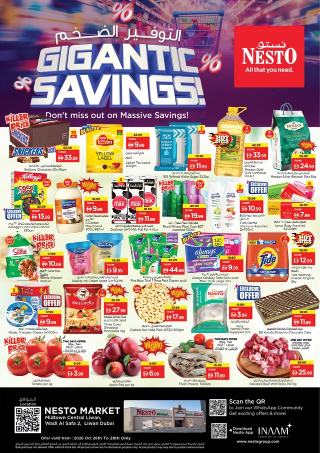 Nesto flyer cover