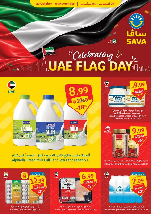 SAVA flyer cover