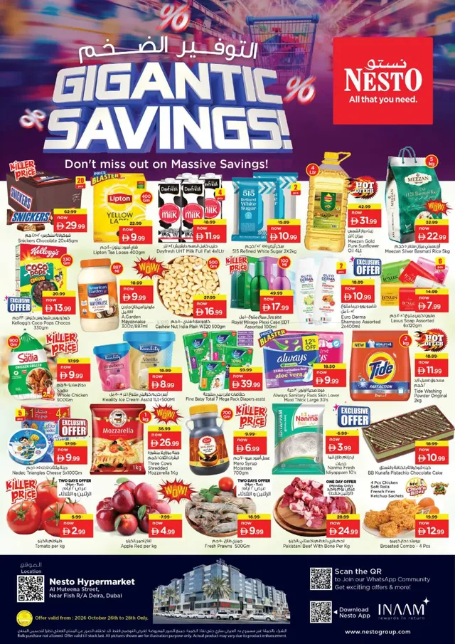 Nesto flyer cover