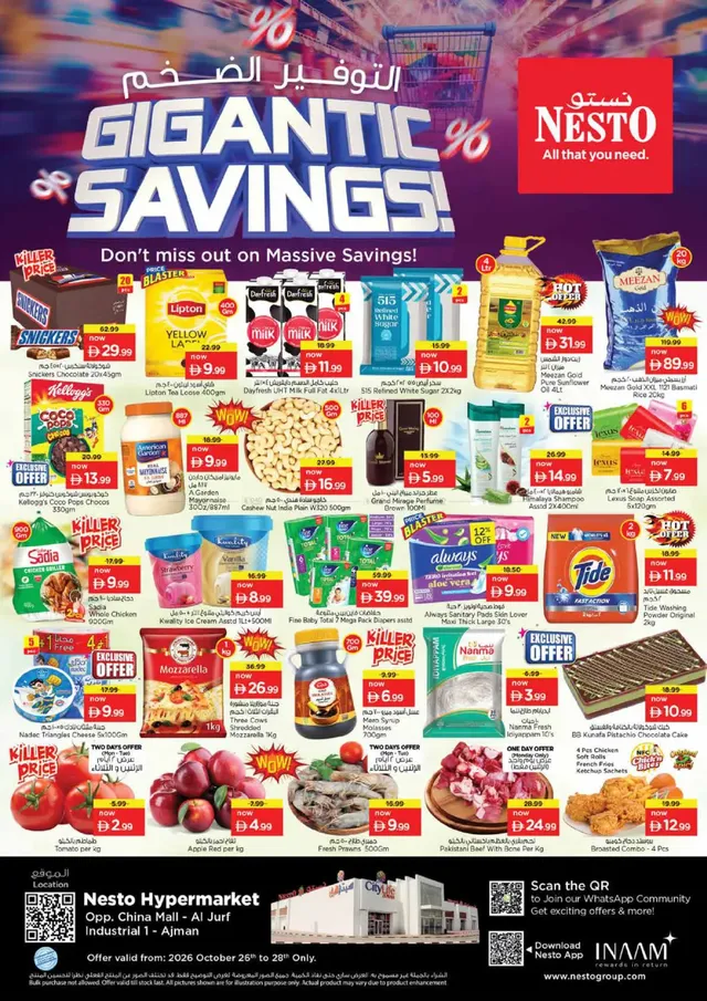 Nesto flyer cover