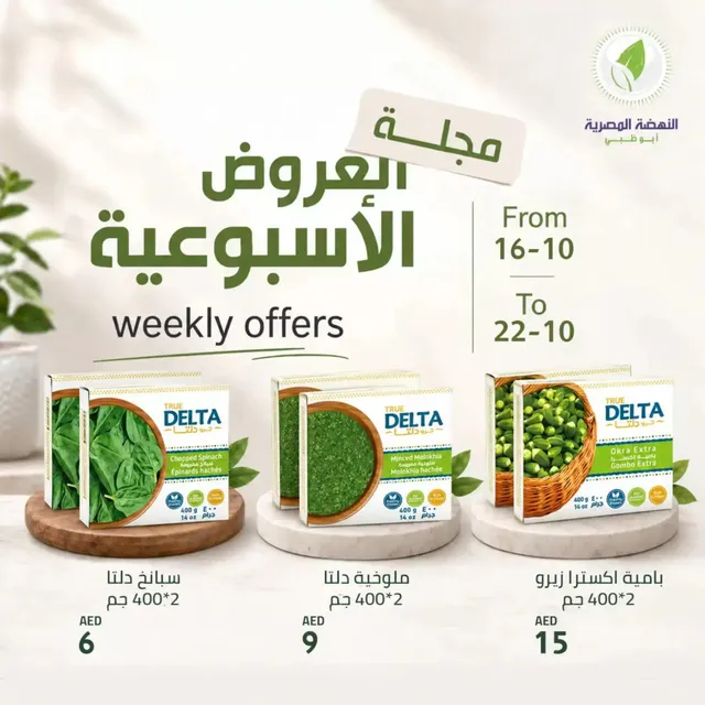 Alnahda almasria flyer cover