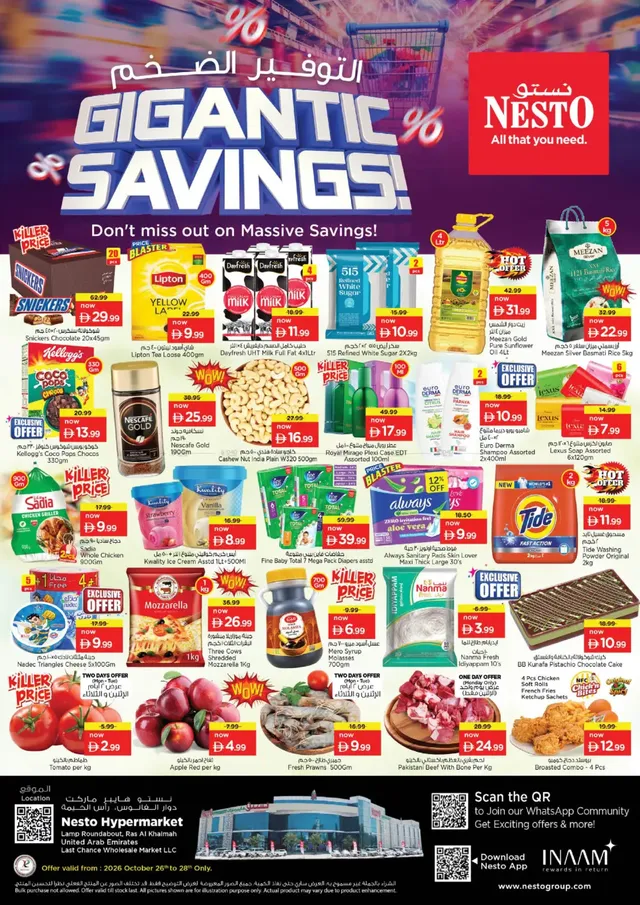 Nesto flyer cover
