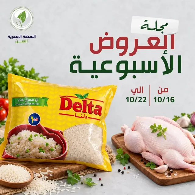 Alnahda almasria flyer cover