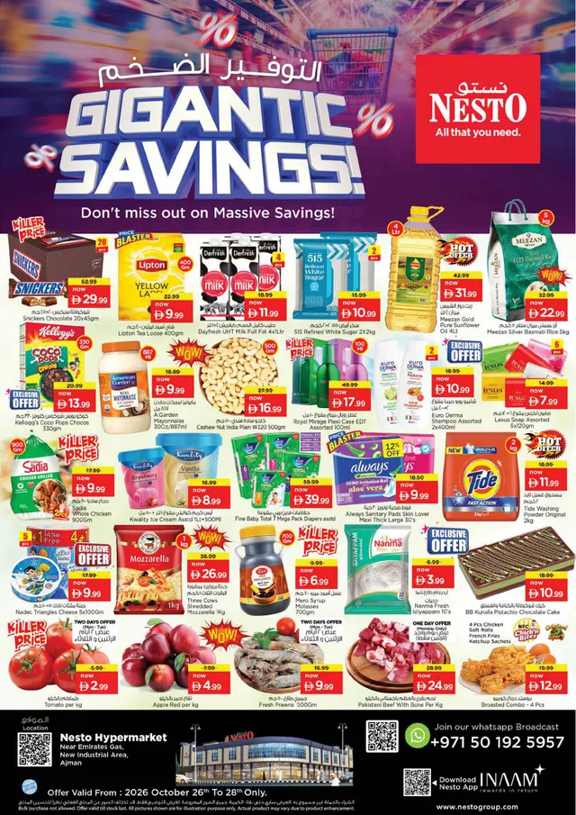 Nesto flyer cover