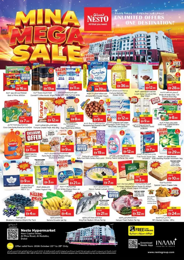 Nesto flyer cover
