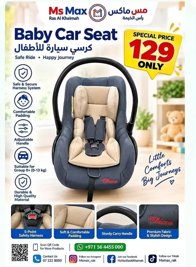 Ms Max flyer cover