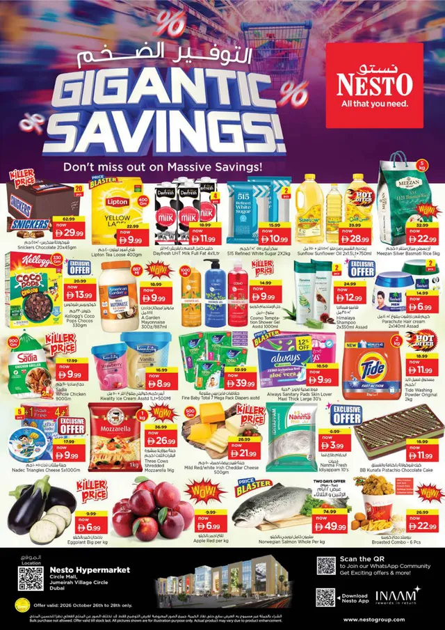 Nesto flyer cover