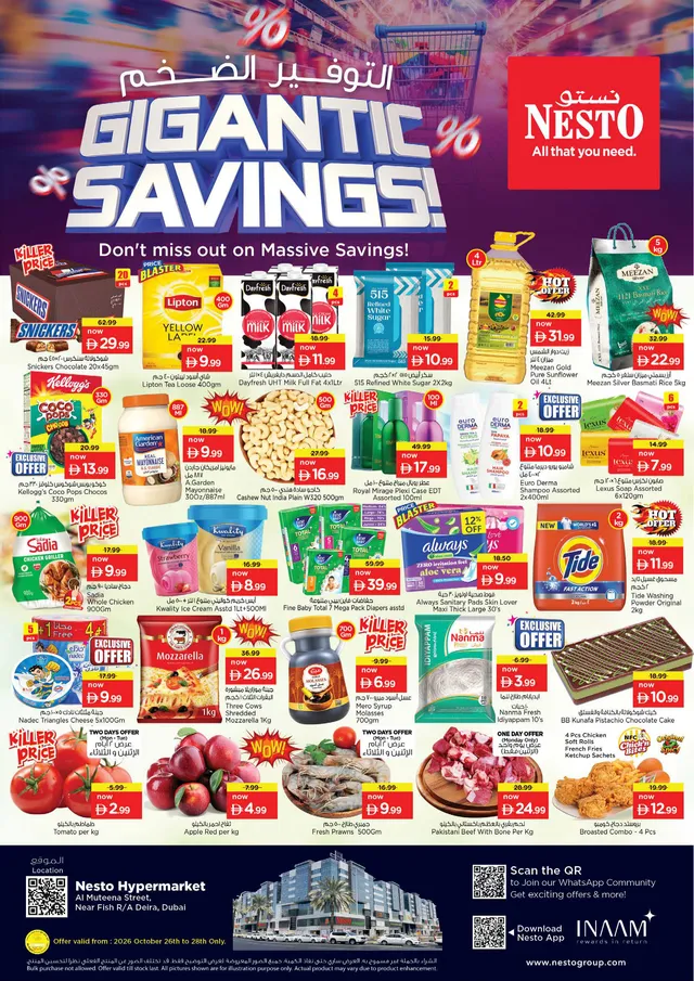 Nesto flyer cover