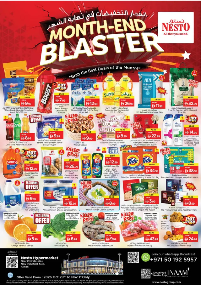 Nesto flyer cover