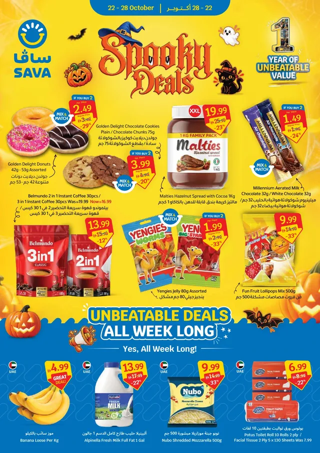 SAVA flyer cover