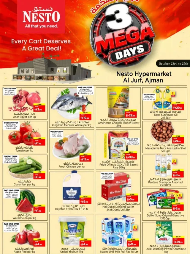 Nesto flyer cover
