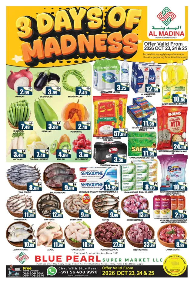Al Madina flyer cover